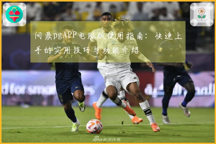 问鼎pgAPP电脑版使用指南：快速上手的实用技巧与功能介绍