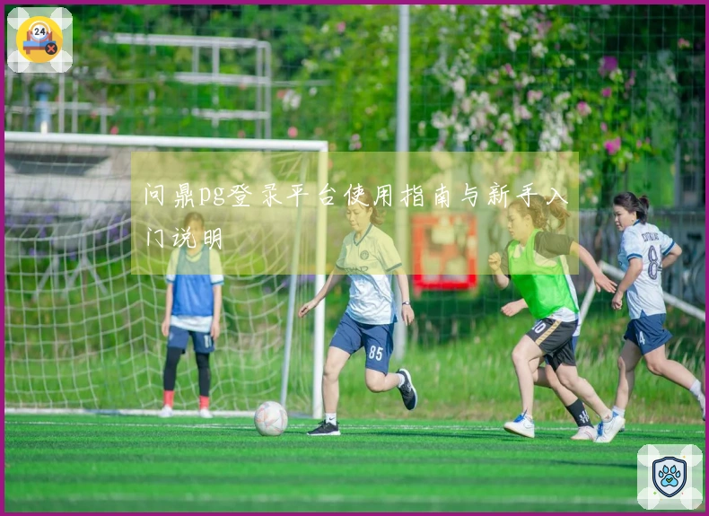 问鼎pg登录平台使用指南与新手入门说明