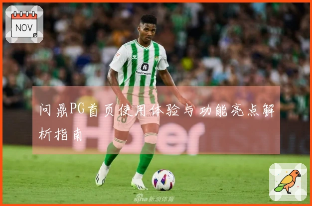 问鼎PG首页使用体验与功能亮点解析指南